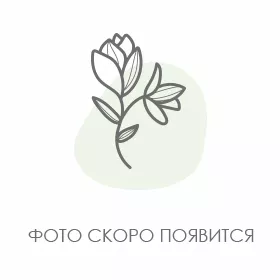 Цветы Тюмень - доставка