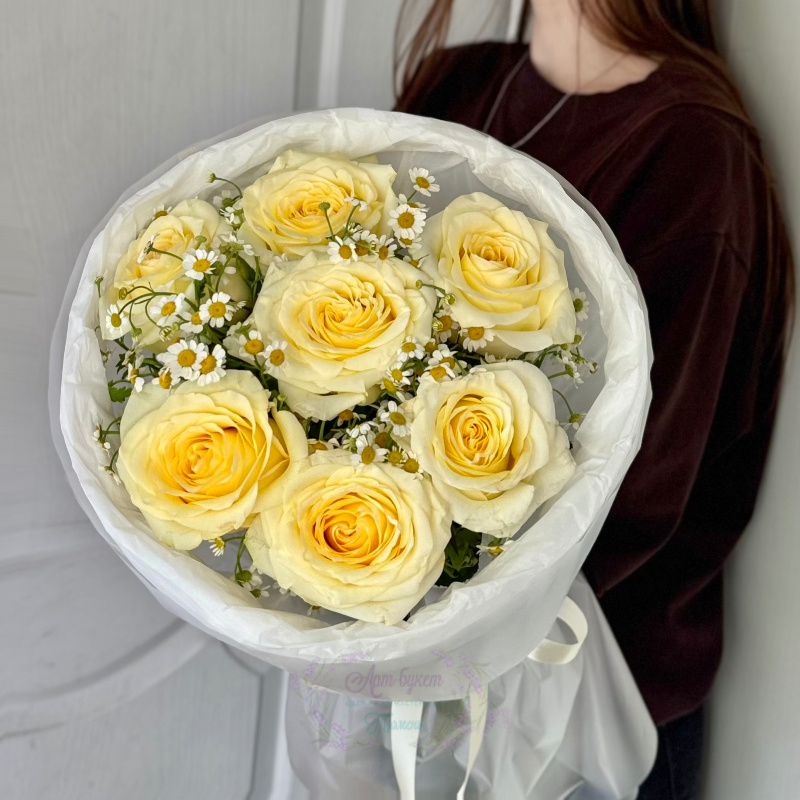 Свет солнца