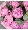 Монобукет из 9 Пионов 3