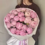 Пиономания