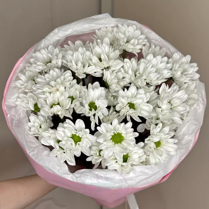 Монобукет из 5 Белых Хризантем 2