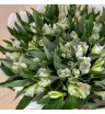 Монобукет из 19 Белых Альстромерий