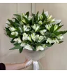 Монобукет из 9 Белых Альстромерий