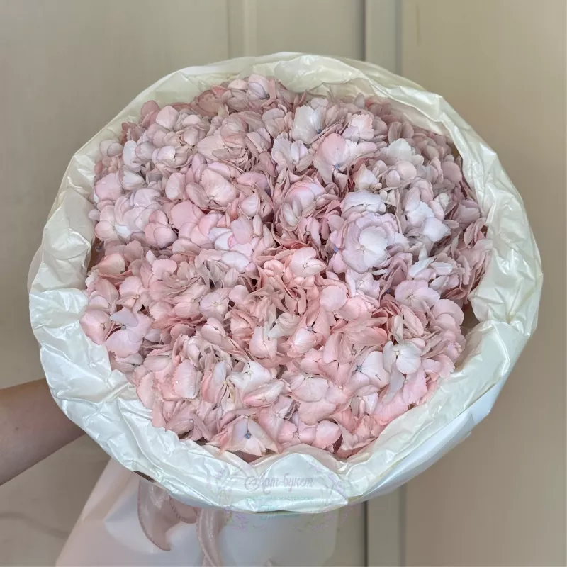 Монобукет из 3 Розовых Гортензий 1