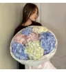 Монобукет из 7 Гортензий Микс